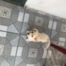 Đổi được rồi ok